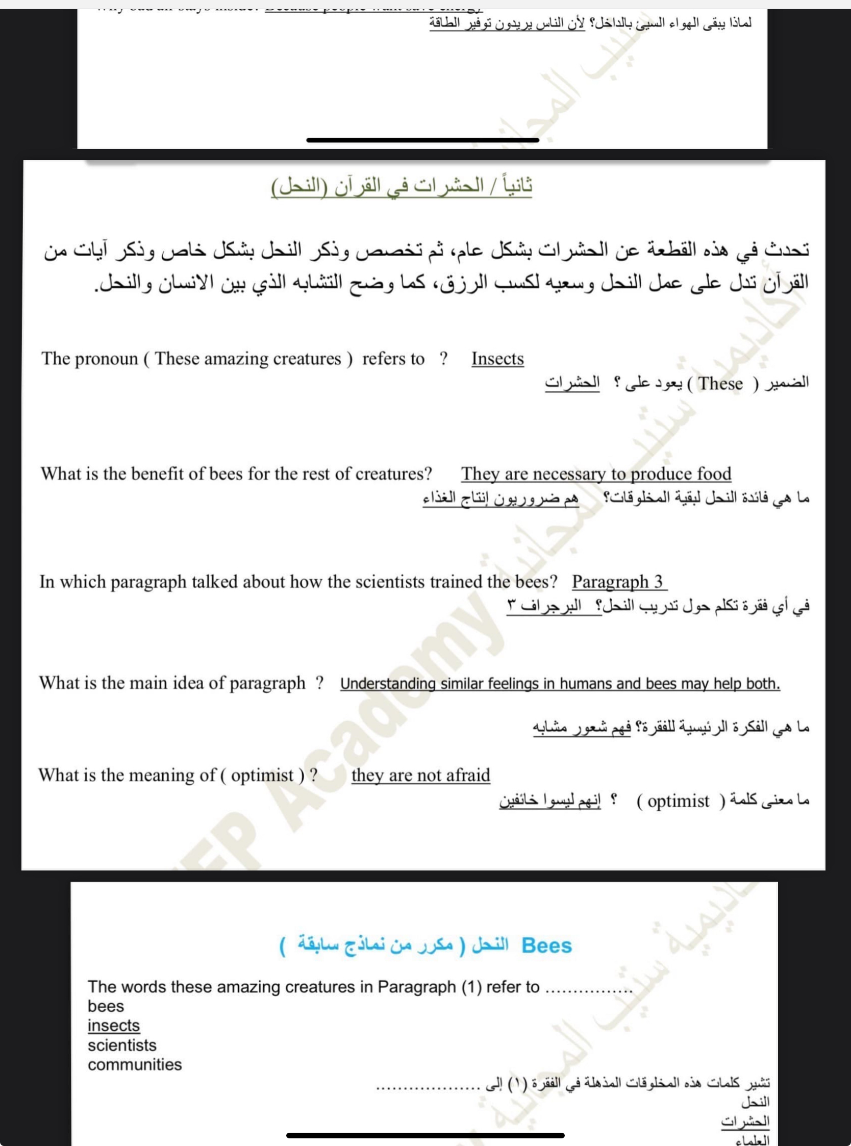 ملفين الاكثر تكرارا الريدنق 