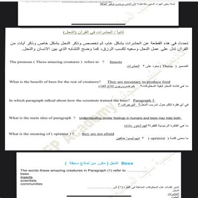 ملفين الاكثر تكرارا الريدنق 